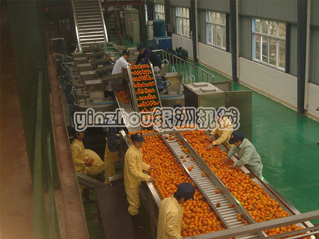 1523171982818627.jpg 柑橘生產(chǎn)線.jpg