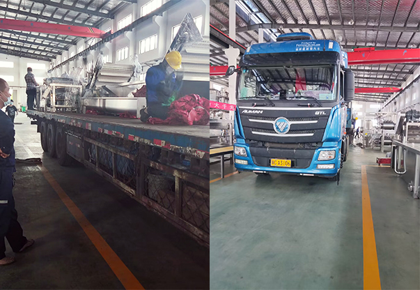 1667368282138015.jpg 秦皇島不老莓發(fā)貨圖片.jpg